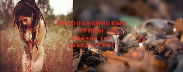 скорость Алзамай
