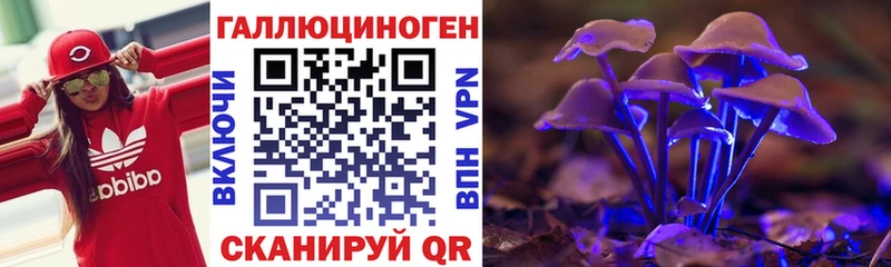 Псилоцибиновые грибы GOLDEN TEACHER Зеленоградск
